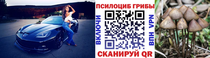 купить   MEGA онион  Псилоцибиновые грибы Psilocybine cubensis  Перевоз 